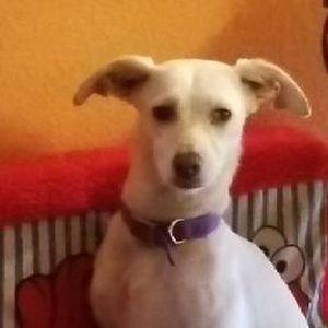 Meet your Posher, Tabitha